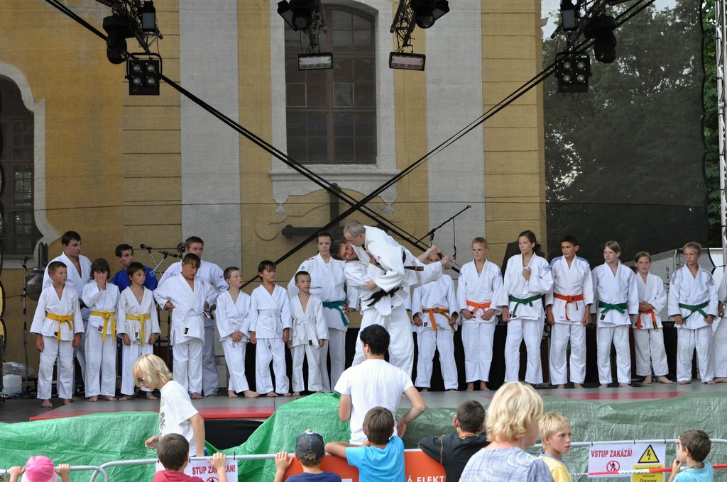 ukazky 2012__22.JPG